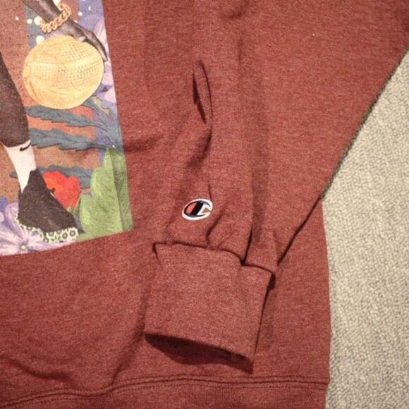 Champion ECO Burgundy Lebron James Sweater - Size Large - Picture 2 of 6